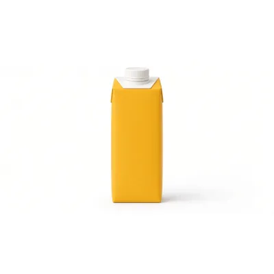 Pakola Mango Juice 250ml