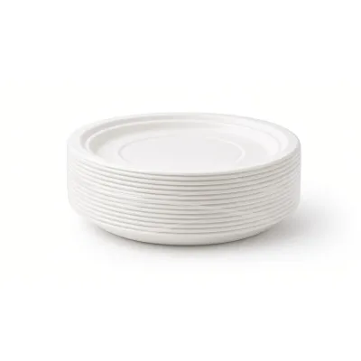 Disposable Plates 25pcs