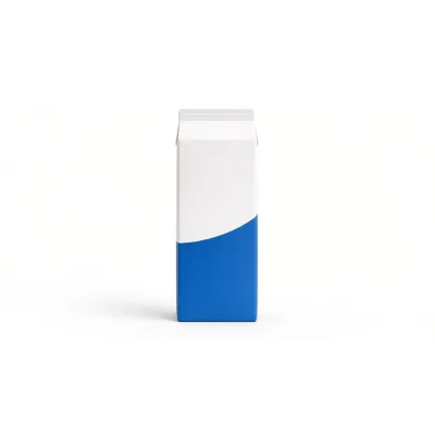 Nurpur Milk 1L