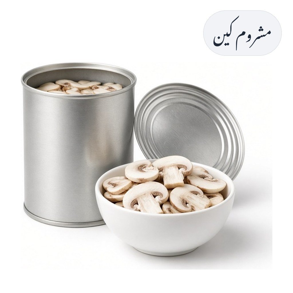 Mushrooms Can 400g