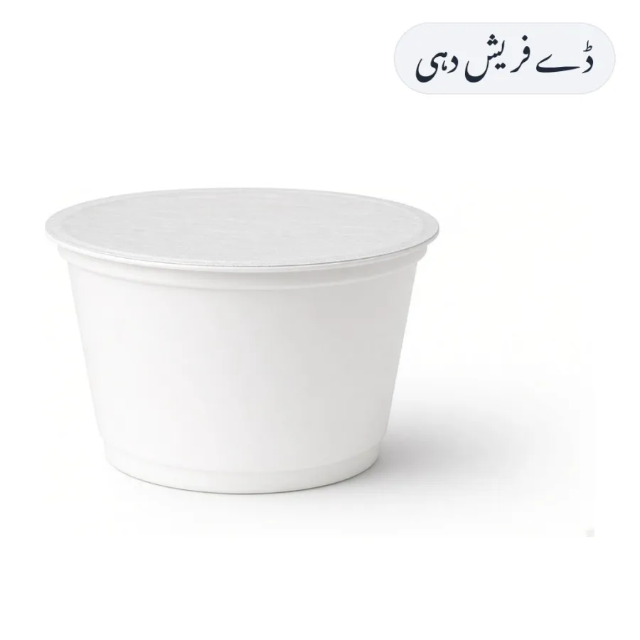 Dayfresh Yogurt 500g
