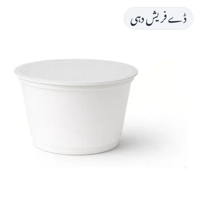Dayfresh Yogurt 500g