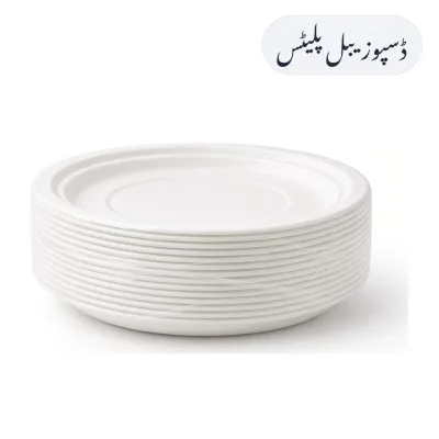Disposable Plates 25pcs