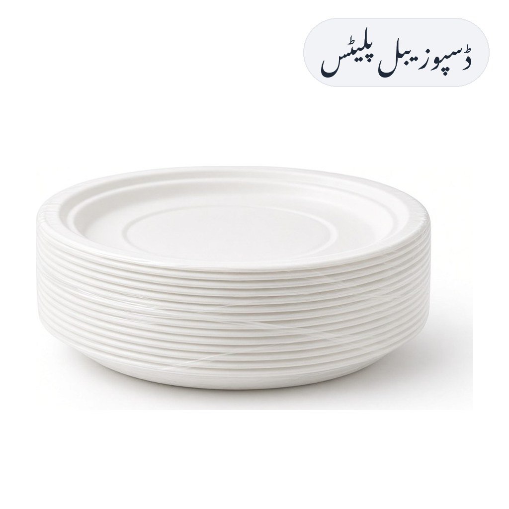 Disposable Plates 25pcs