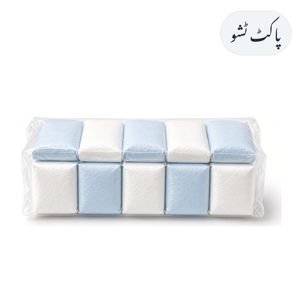 Pocket Tissue 10 Pack
