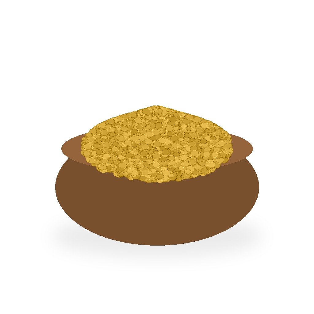 Daal Chana 500g